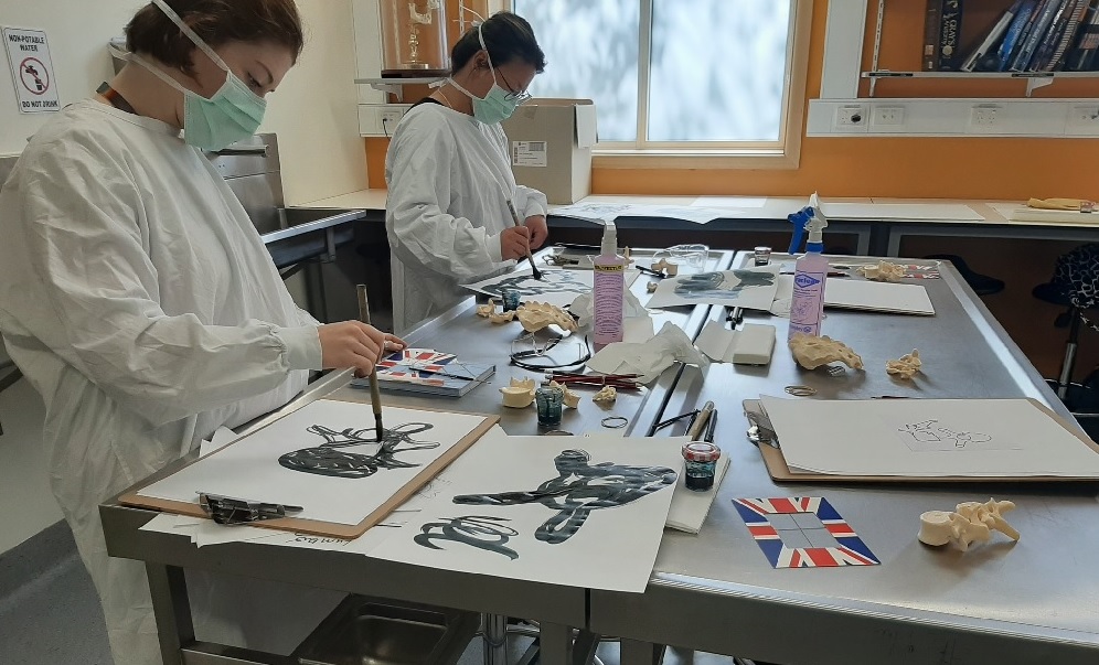 Imperfect Bodies of Research project, visual art, human anatomy and research Imperfect Bodies of Research project, visual art, human anatomy and research