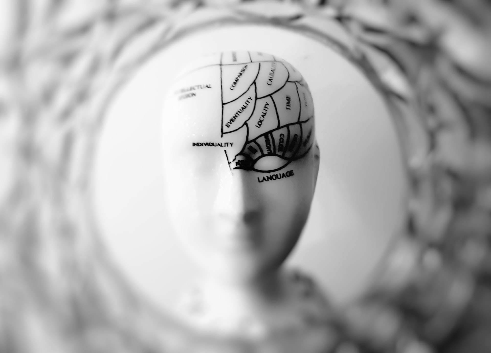 A monochrome photograph of a head sculpture with sections labeled with various cognitive functions and traits, such as individuality, language, and time.