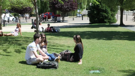 Three people sitting and chatting on a grassy park lawn on a sunny day, with other people relaxing in the background.