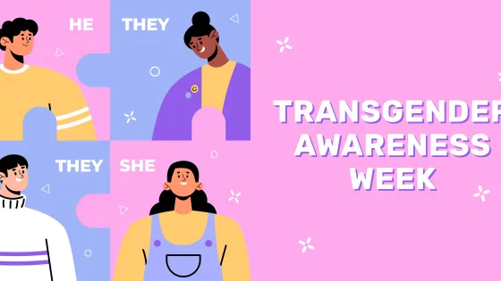 Illustration promoting Transgender Awareness Week featuring four cartoon-style characters with text labels "HE", "THEY", "THEY", "SHE" against a split background of pink and purple.