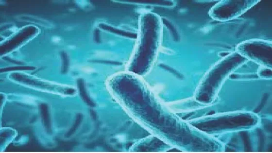 A digital image showing a close-up view of numerous rod-shaped bacteria in blue tones.
