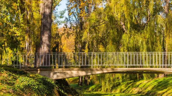 A narrow bridge with metal railings crosses a tranquil creek in a lush, sunlit park with autumn trees.