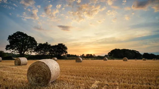 Rural Photo