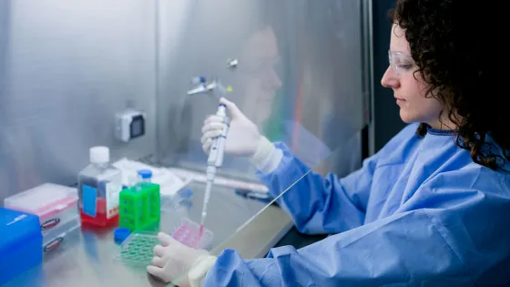 A scientist in a lab coat and safety glasses uses a pipette to transfer a liquid into a tray of samples inside a laboratory fume hood.