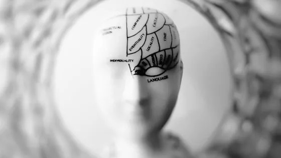 A monochrome photograph of a head sculpture with sections labeled with various cognitive functions and traits, such as individuality, language, and time.