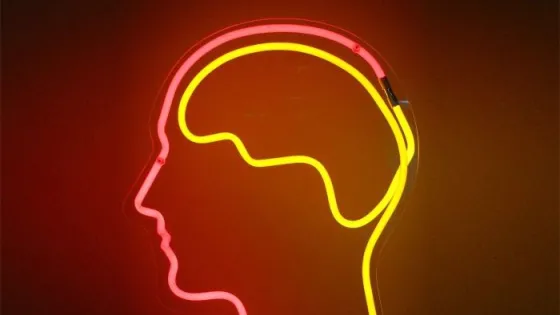 A neon light sculpture shaped like a human head profile with yellow and red sections against a dark background.