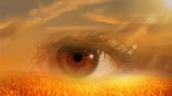 A surreal composite image blending a detailed human eye and a golden wheat field under a sunset sky.