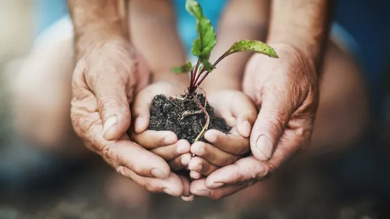 An adult and a child holding a young plant with soil in their hands.