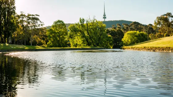 A serene scene of a pond surrounded by lush greenery and trees, with a distant view of a telecommunications tower on a hill.