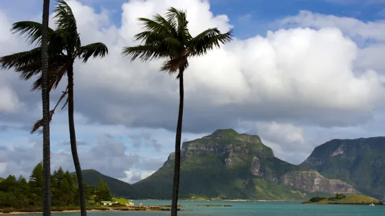 Two tall palm trees in the foreground with a view of a tranquil sea and a rugged mountain backdrop under a cloudy sky.