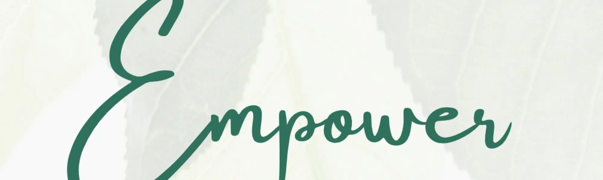 Empower image