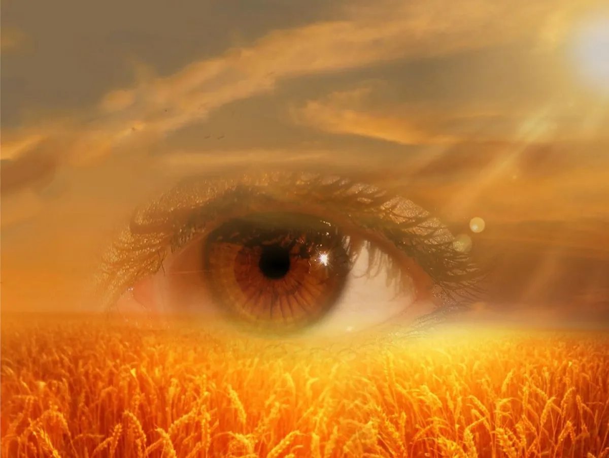 A surreal composite image blending a detailed human eye and a golden wheat field under a sunset sky.