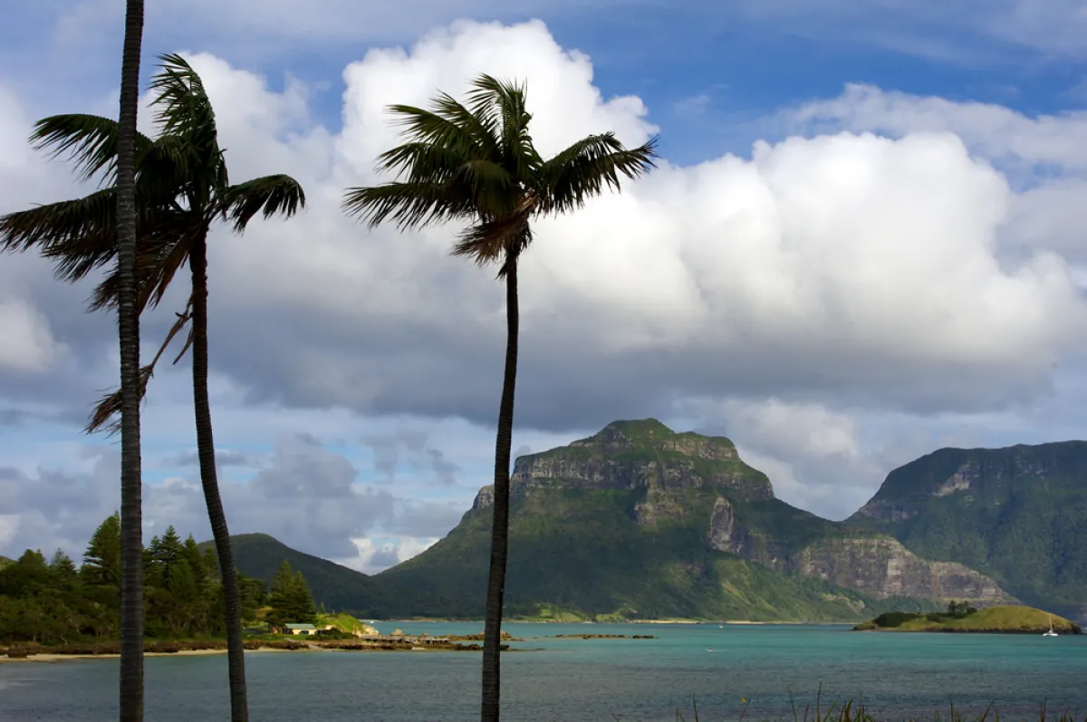 Two tall palm trees in the foreground with a view of a tranquil sea and a rugged mountain backdrop under a cloudy sky.