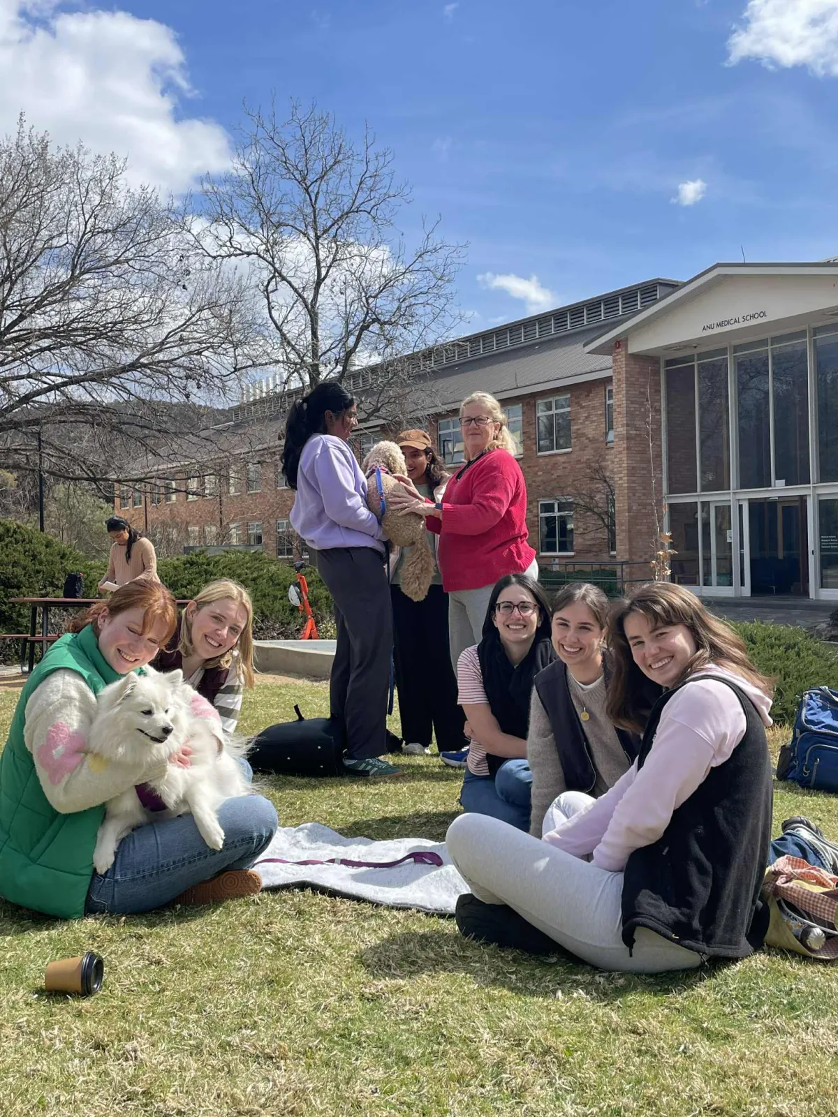 therapy dogs, ANU Blue Week