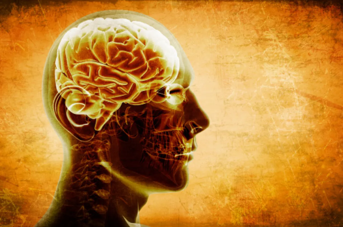 Digital illustration of a human head in profile with a transparent skull showing the brain against a textured orange background.