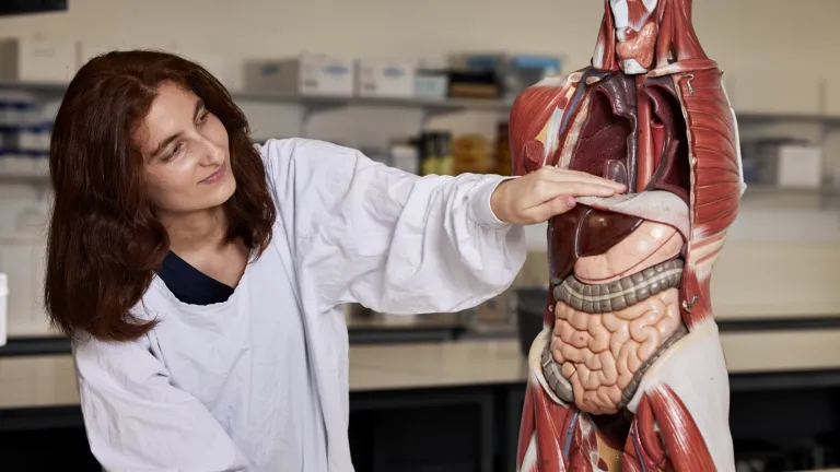 Student studying human body 2022