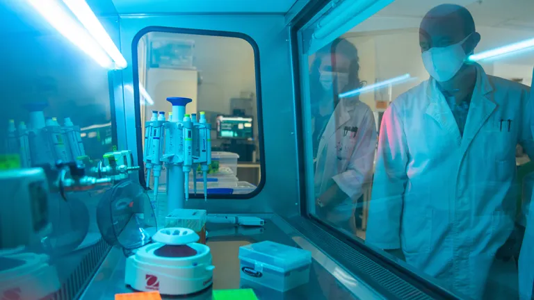 Researchers look at a COVID-19 genome.