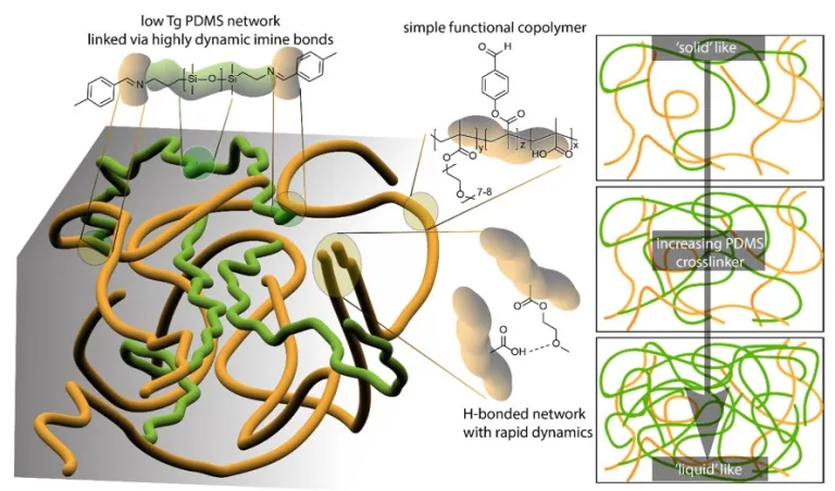 The 3D Printed Scaffolds for Bone Tissue Regeneration