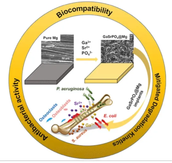 Biocompatibility
