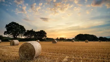 Rural Photo