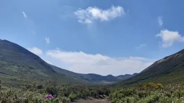 Image: photo of fields and hills in Spain